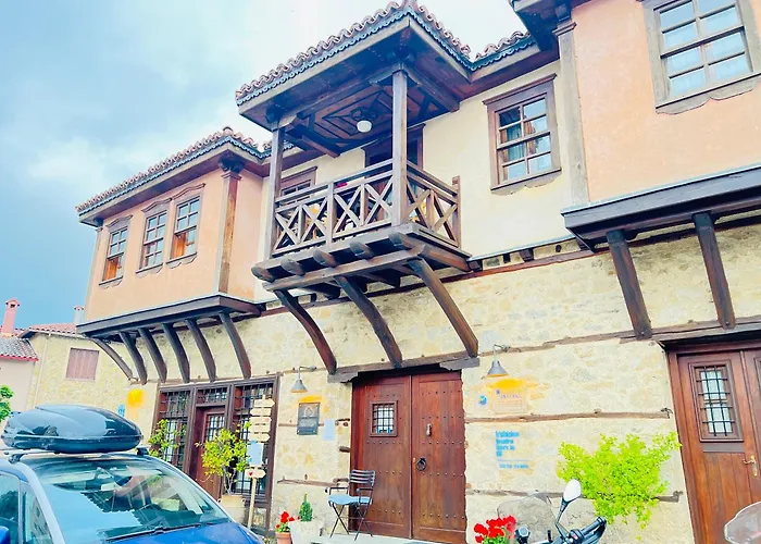 Aristotelous Alexandrou Historic * 아나이아